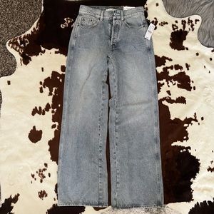 NWT Pacsun Baggy jeans 24